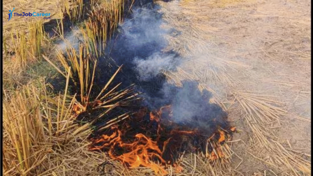 Delhi Pollution Tool Misses Stubble Burning Impact